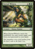 144-eternalwitness