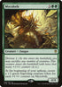 158-mycoloth