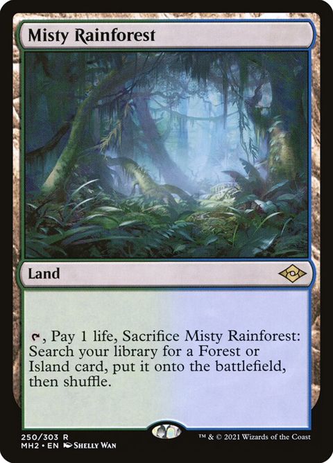 250-mistyrainforest