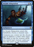46-arcaneadaptation